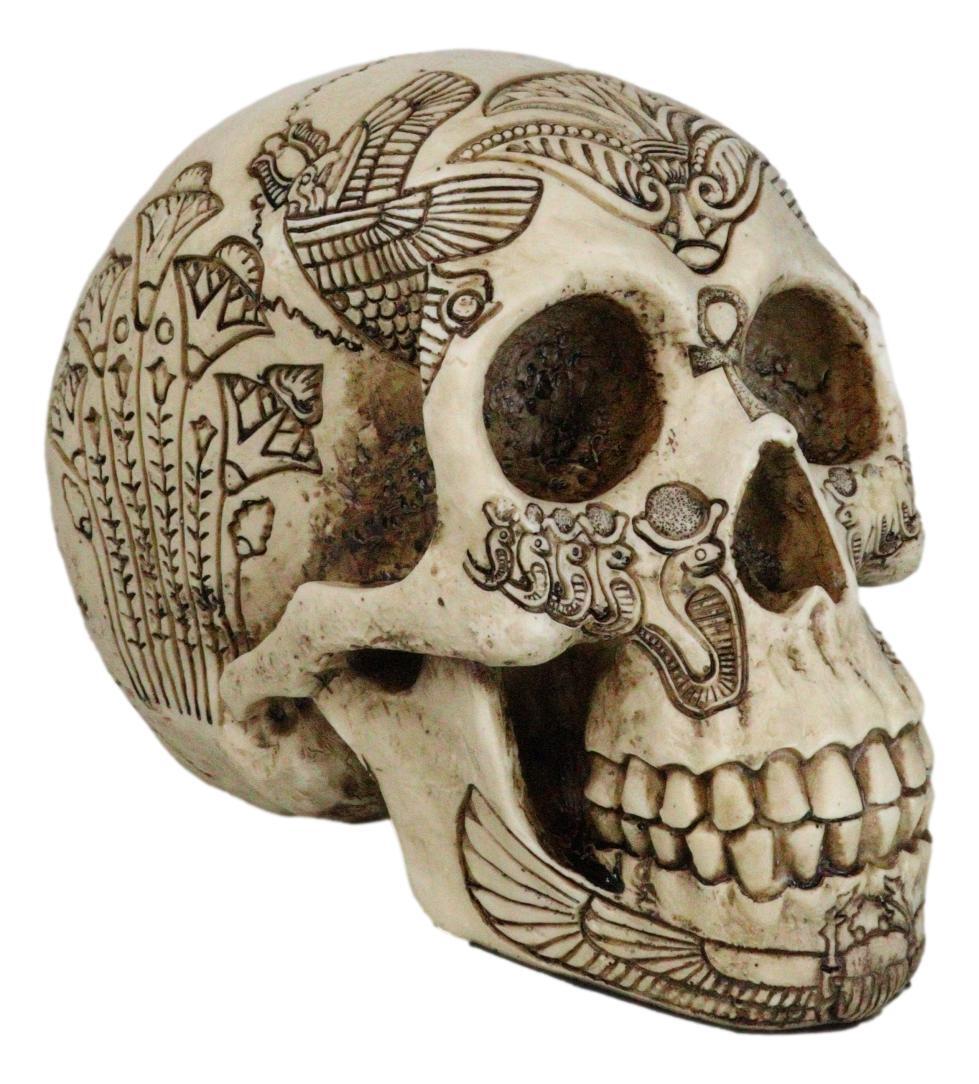 Ebros Bone Ancient Egyptian God Paranormal Scarab Dung Beetle Skull Statue 8.5"