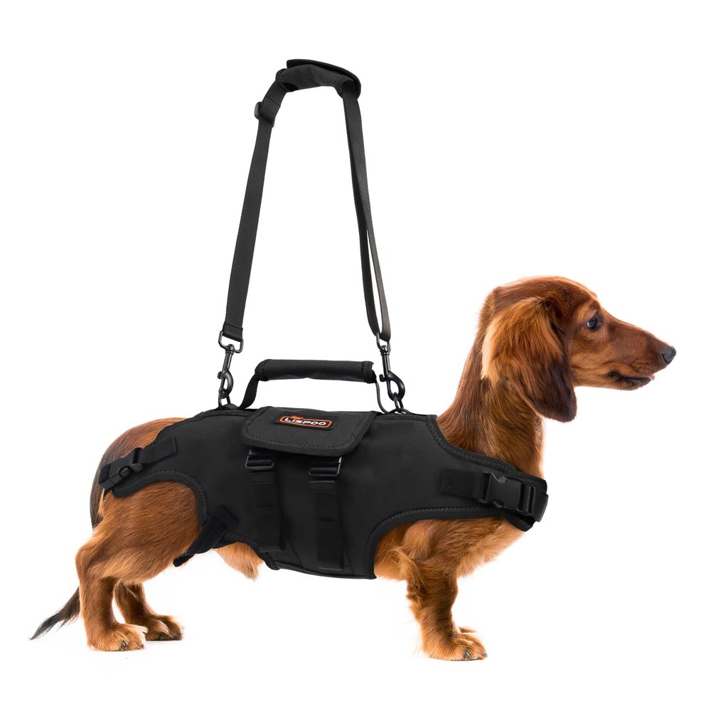 Dog Lift Harness, Full Body Support with Adjustable Control Handle for Medium...