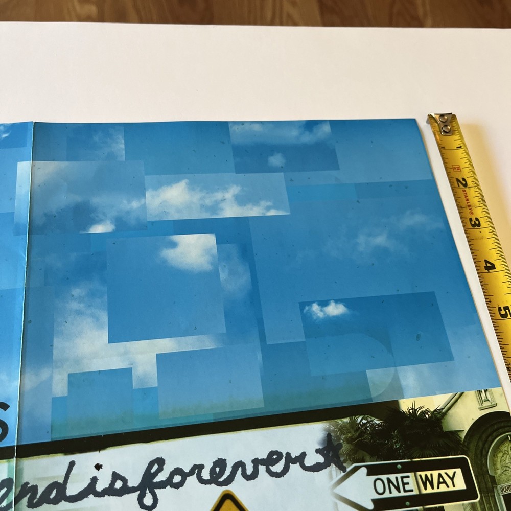 THE ATARIS End Is Forever Vintage OG Promo Poster Kung Fu Live Tour Y2K Dimas