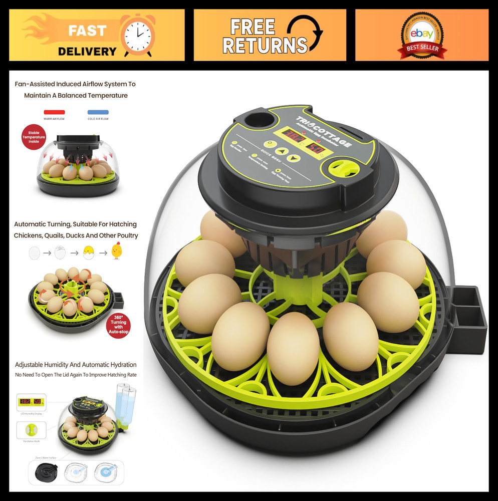 12 Egg Incubator with Auto Turning, Humidity Control & Candler for Hatching Eggs