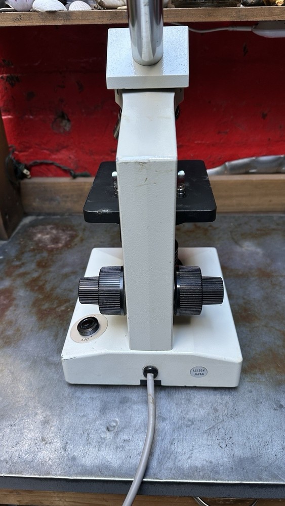 Wolfe Circa 2000 Student Compound Microscope - Model 855838 - Excellent Shape