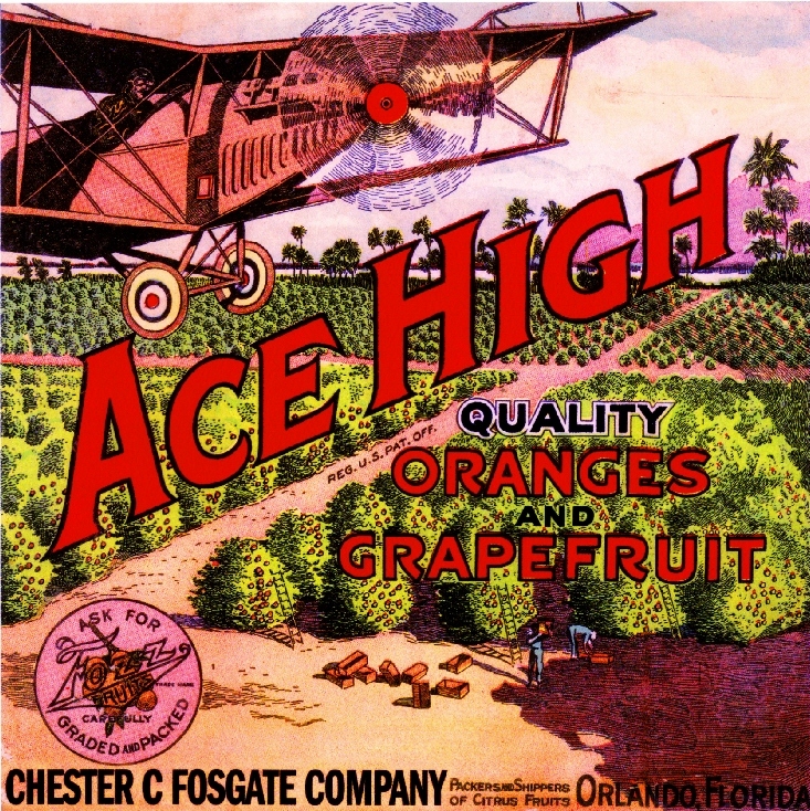 Orlando Florida Ace High #2 Airplane Orange Citrus Fruit Crate Label Art Print