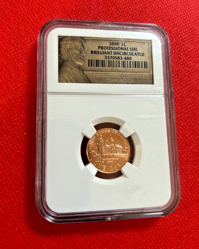 2009 ONE CENT PROFESSIONAL LIFE BRILLIANT UNCIRCULATED