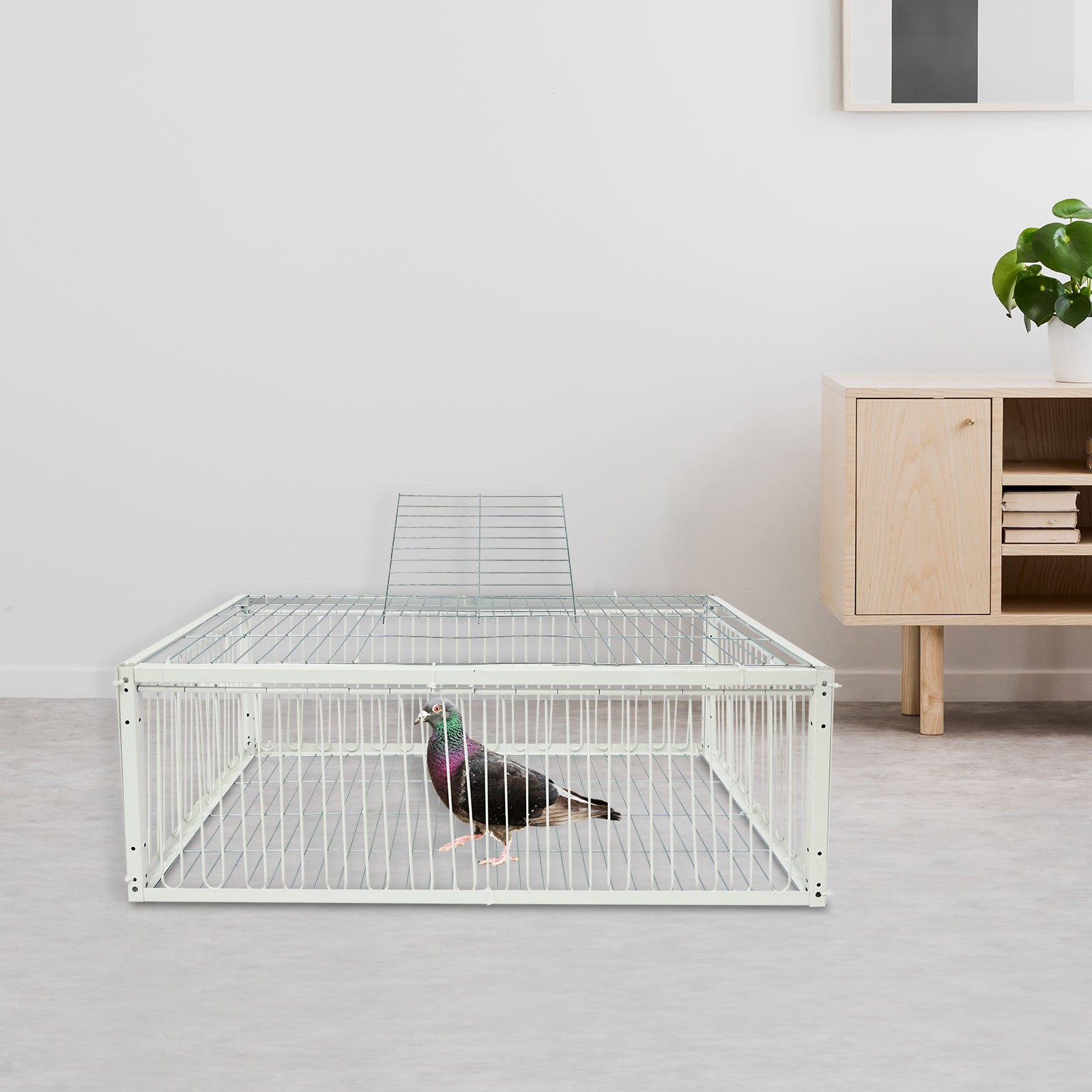 Pigeon Trap Cage, Pigeon Cage, Portable Escape-Proof Pigeon Trap Cage