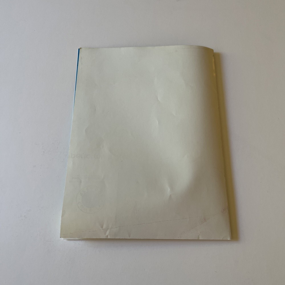 THE ATARIS End Is Forever Vintage OG Promo Poster Kung Fu Live Tour Y2K Dimas