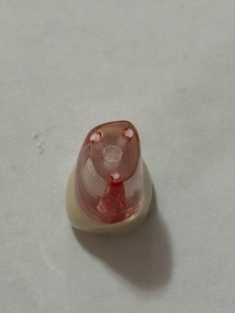 Endo Tooth #16 For ADC MODEL (3 Pack)