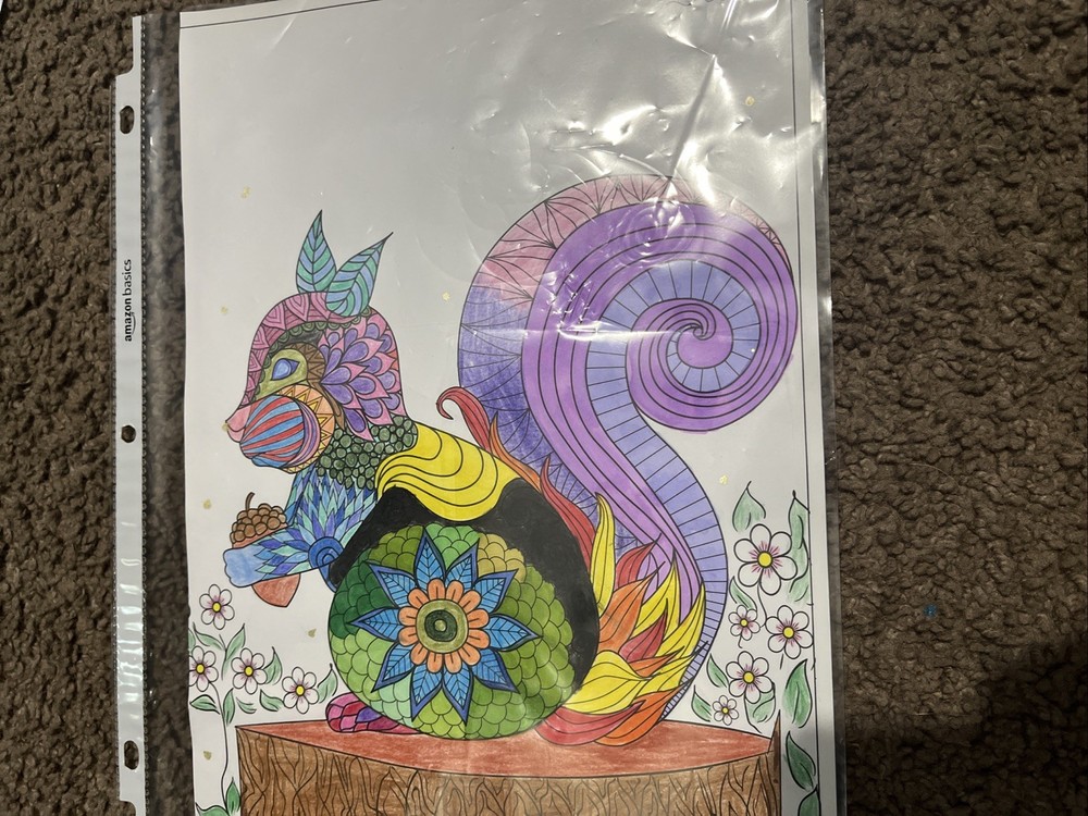 Exotic Squirrel