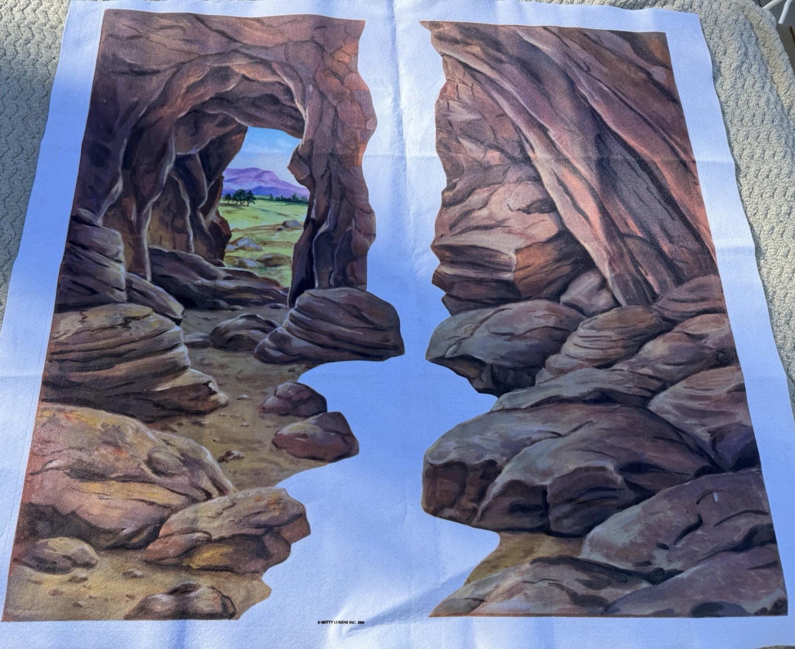 Betty Lukens Through the Bible in Felt 650+ Pieces Jesus Animals VTG