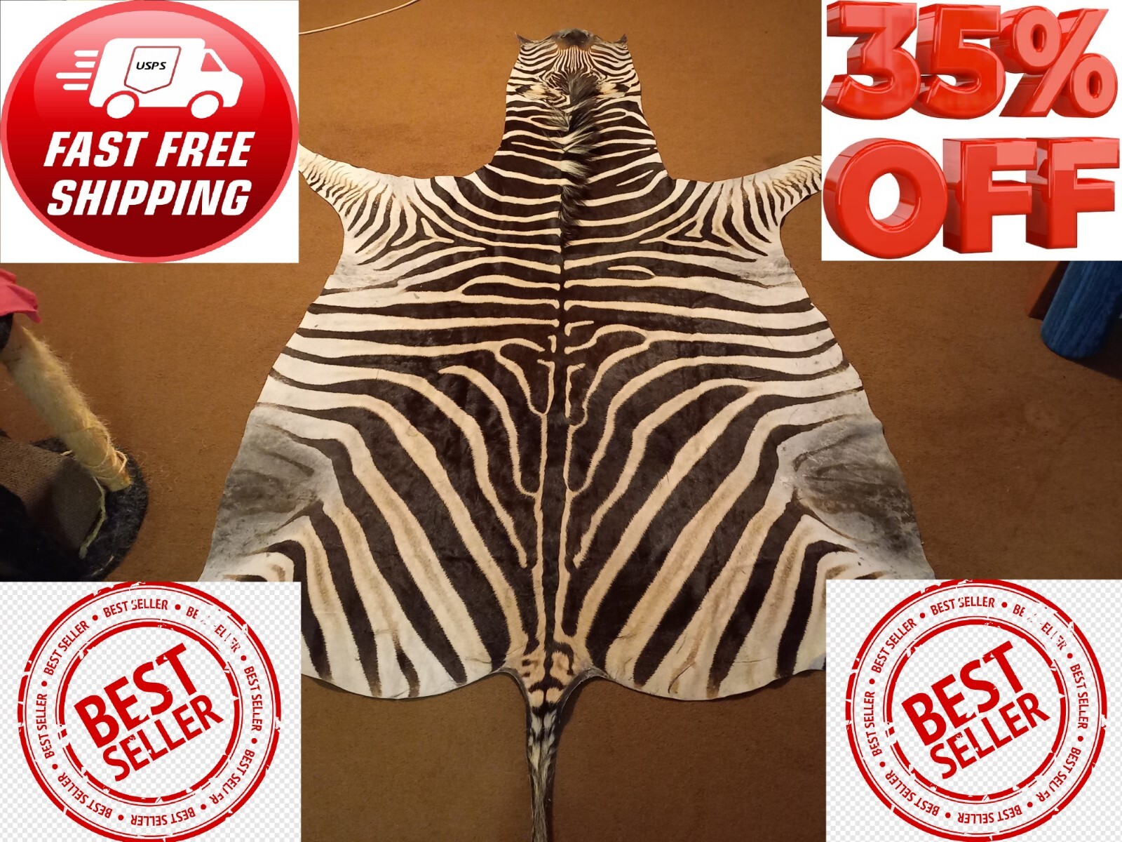Zebra hide / skin - Large Genuine South African Burchell Zebra hide - 35% OFF