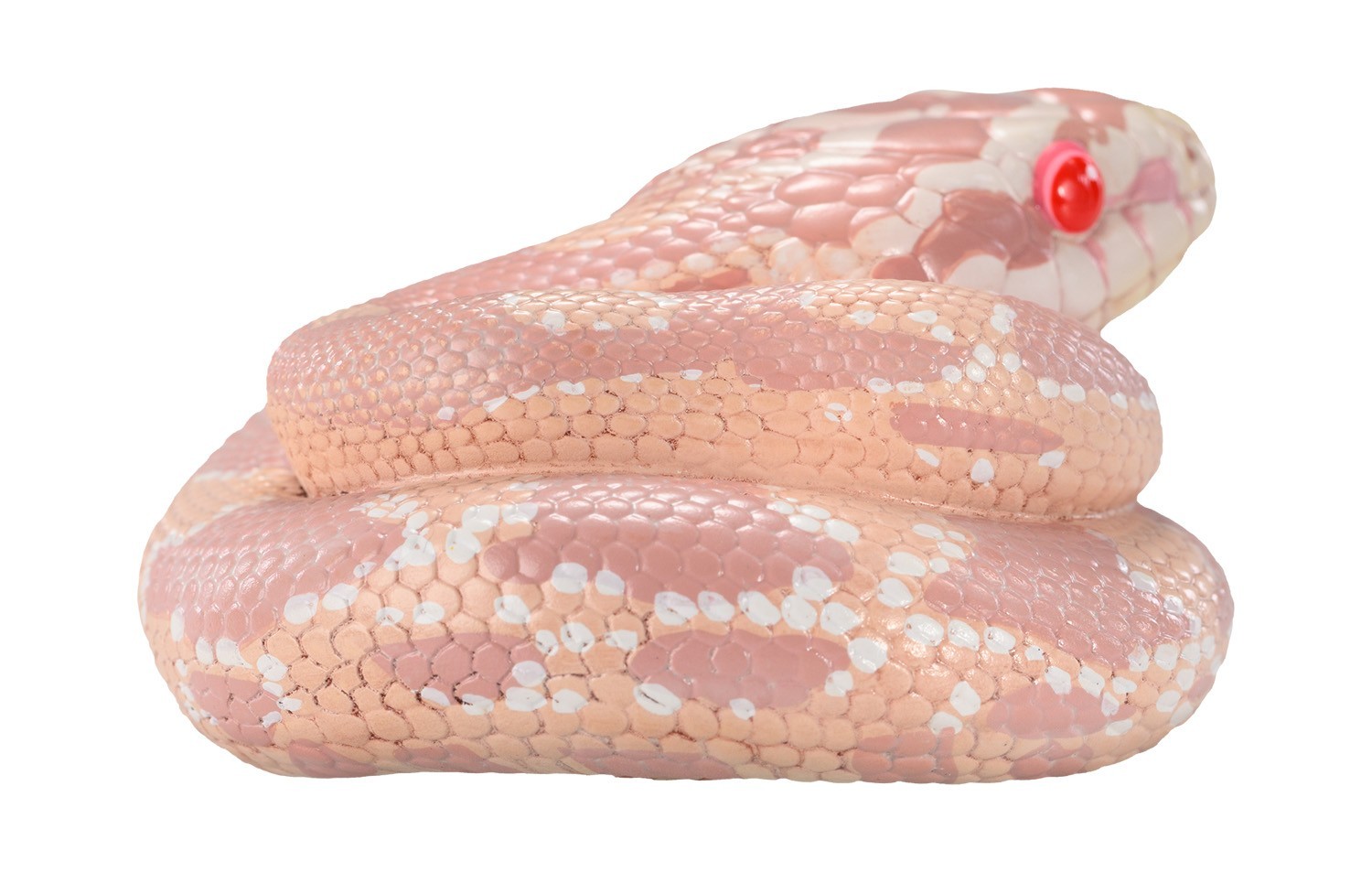 Animal Heavenly Body Corn Snake Coral Snow morph Statue Pantherophis guttatus