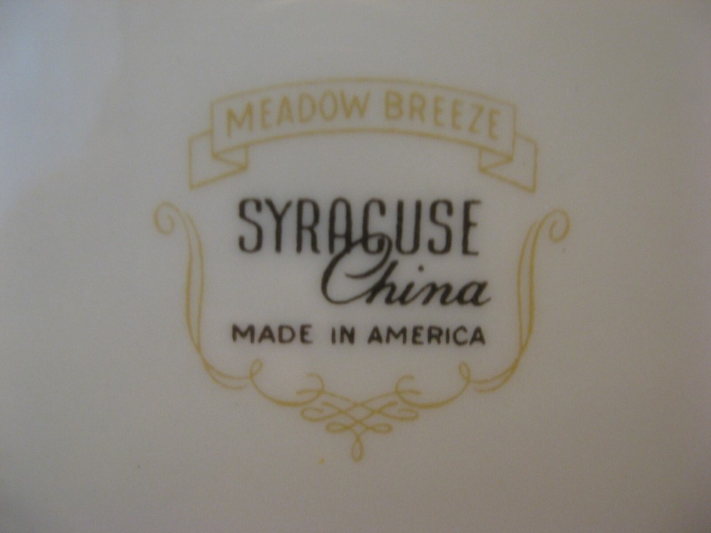 Syracuse Meadow Breeze China 5-Pc Place Setting - Very Nice!