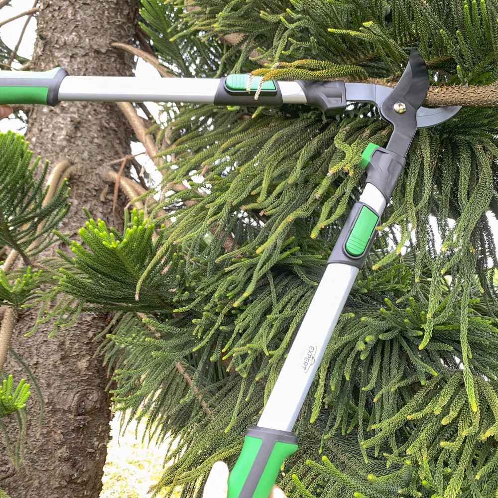 Extendable 38in Lopper