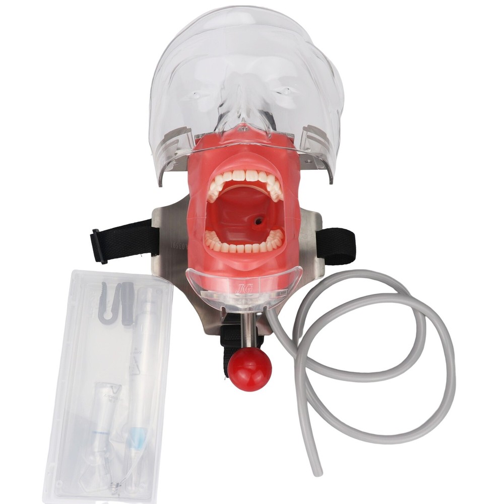 Dental Simulator Mannequin Head Teeth Model Teaching Practicing Head Mold desk