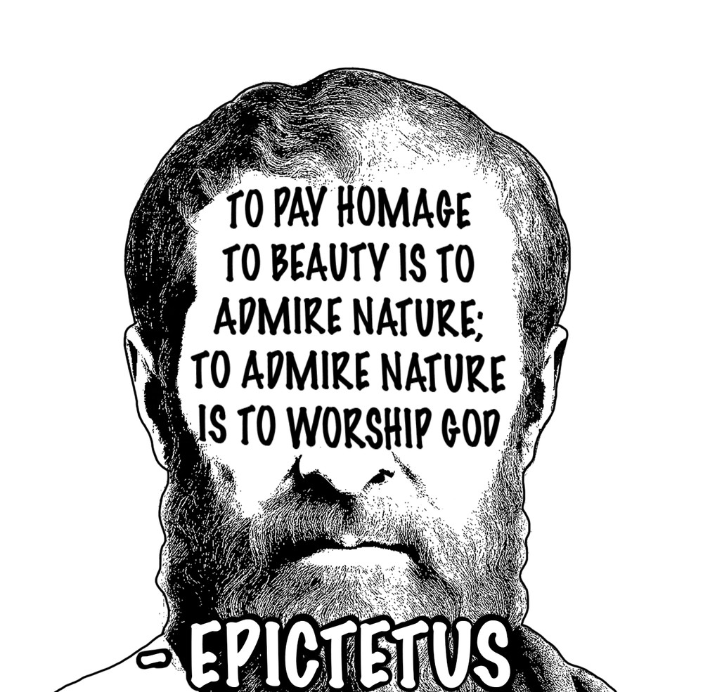Epictetus Quote Sticker Collection