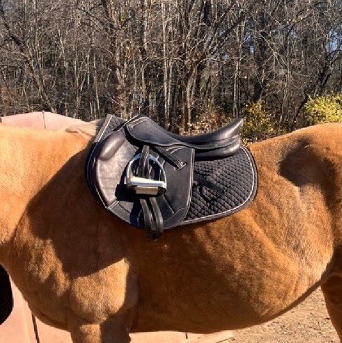 HDR jump saddle
