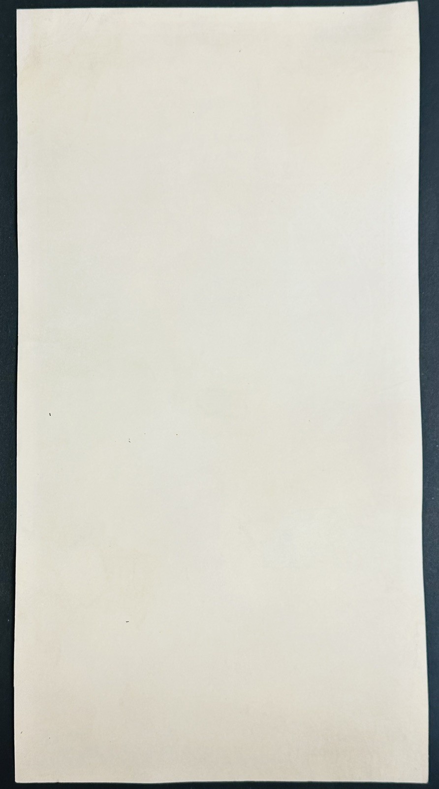 MC5 SOUTHBOUND FREEWAY MARK FARNER BOSSMEN 1966 GRIMSHAW Grande Concert Poster