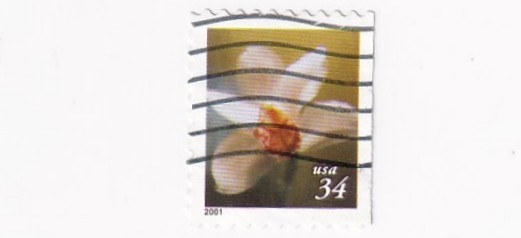 STAMP US SCOTT 3455 "Cymbidium Orchid" 34 CENT 2000 USED WAVE CANCEL - A