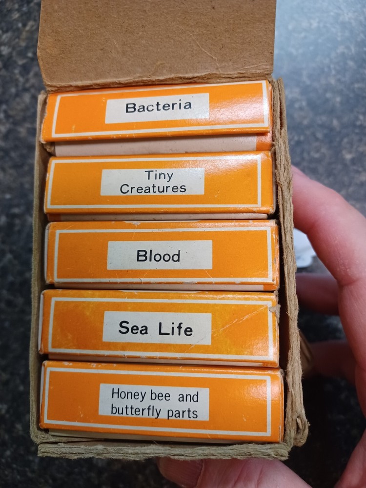Vintage Sears Prepared And Labeled Microscope Slides