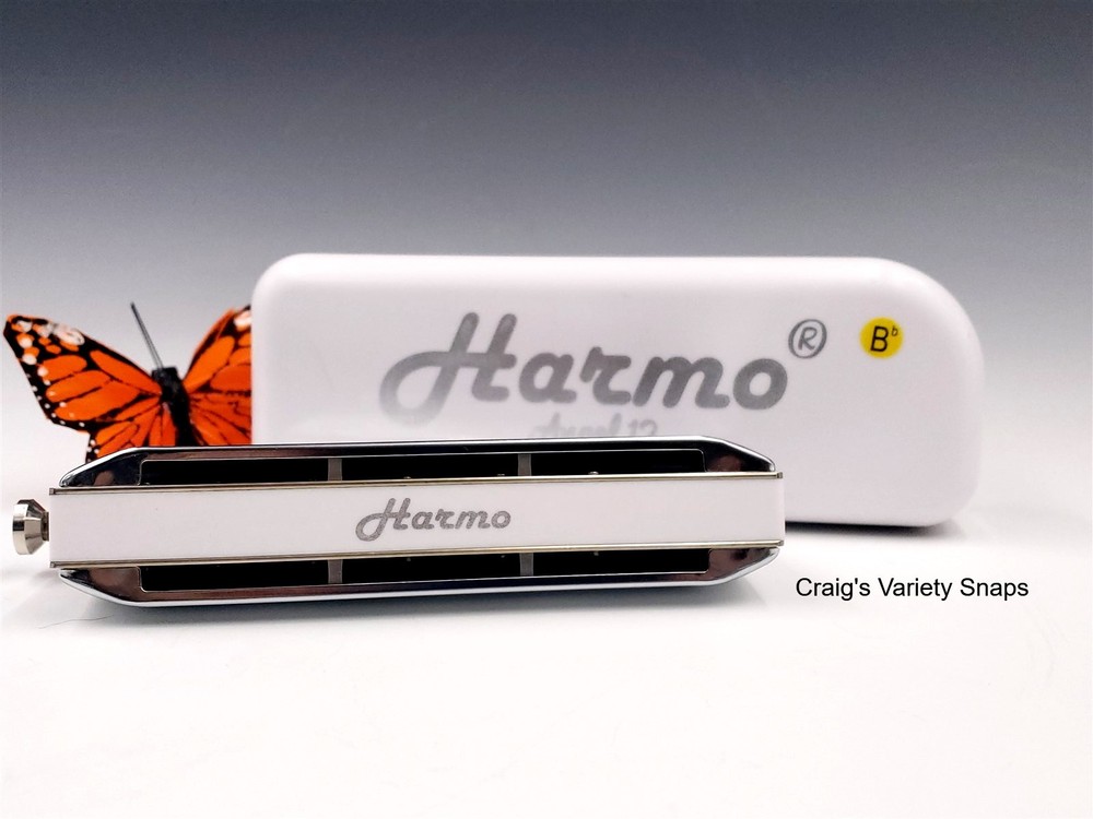 Harmo Angel 12 Harmonica, with Case Bb Chromatic
