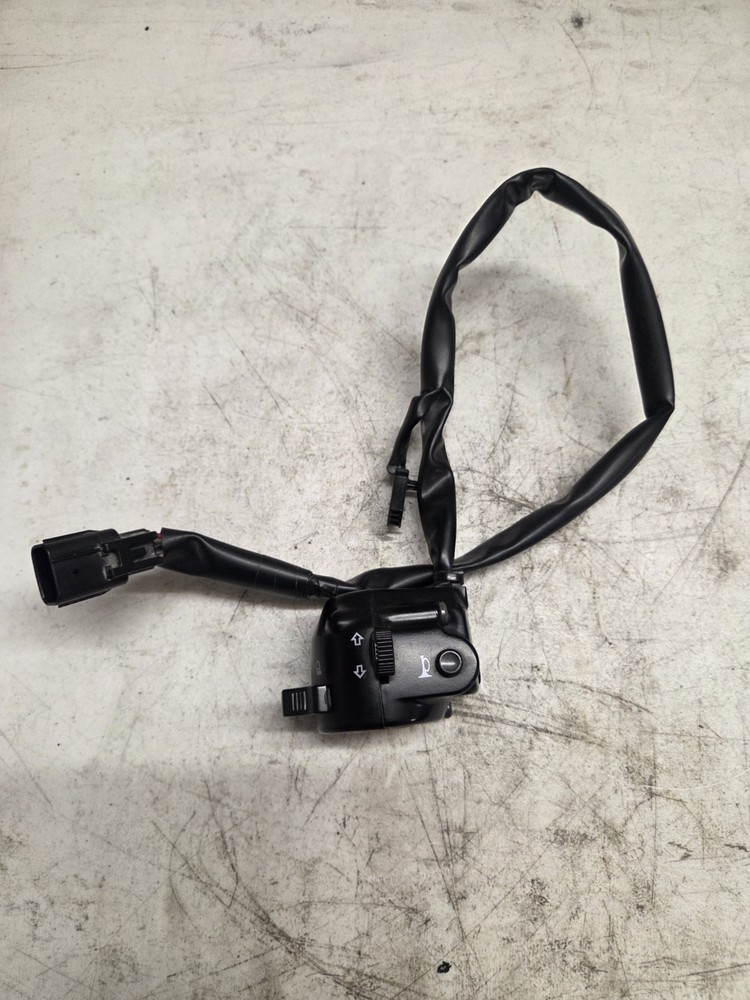 2019 Kawasaki W800 Cafe EJ800 left handlebar switch