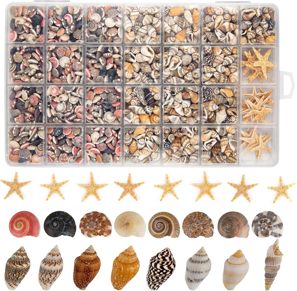 1200 PCS Tiny Seashells& 21 Starfish Mixed Bulk Beach Small Shells for Home Deco