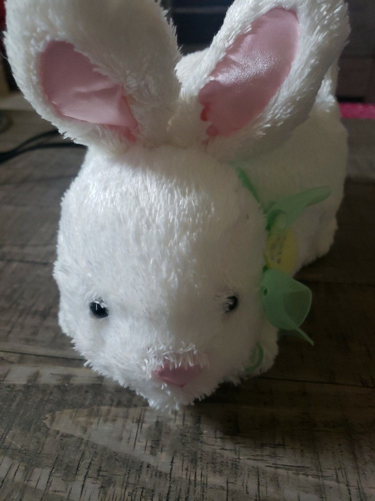 Easter Bunny Basket