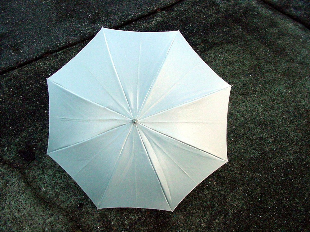 Photography 28" White Silver Umbrella Reflector Diffuser Flash Light | $9 | #96