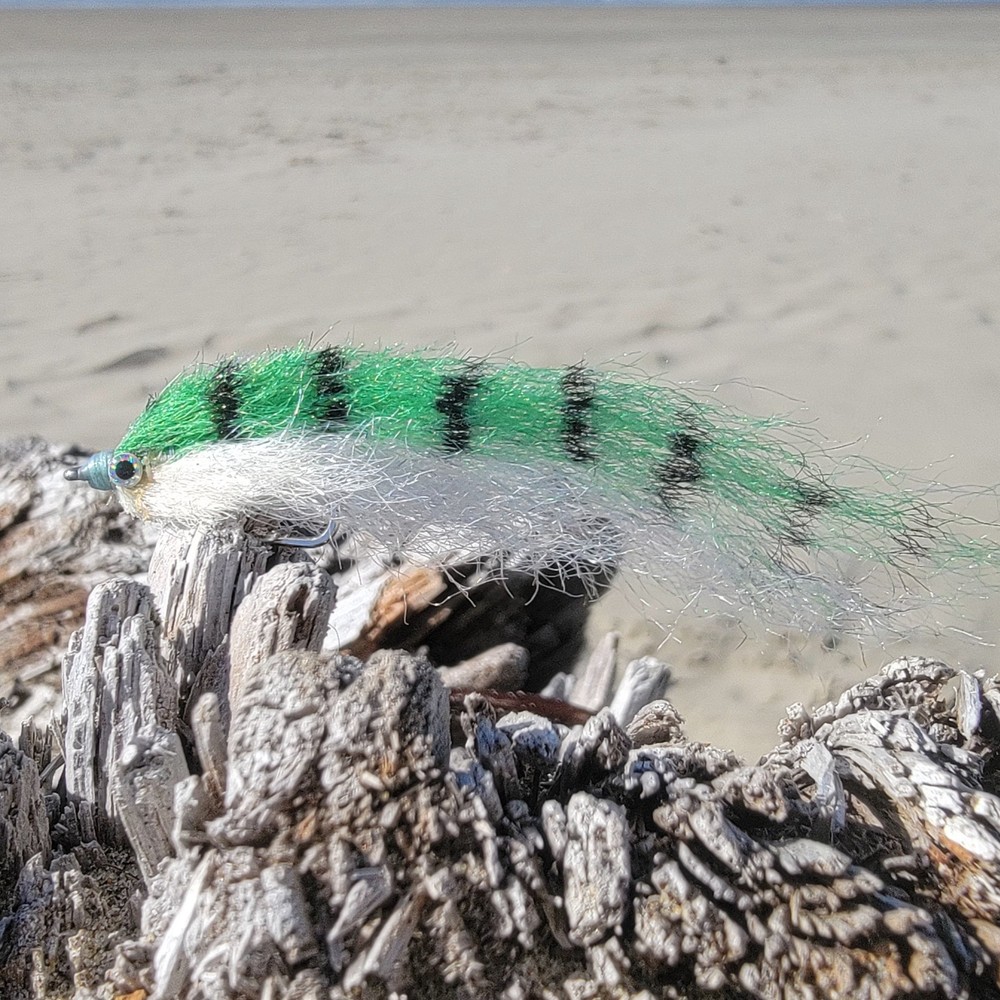 Salty Baitfish Anchovy | Size 4