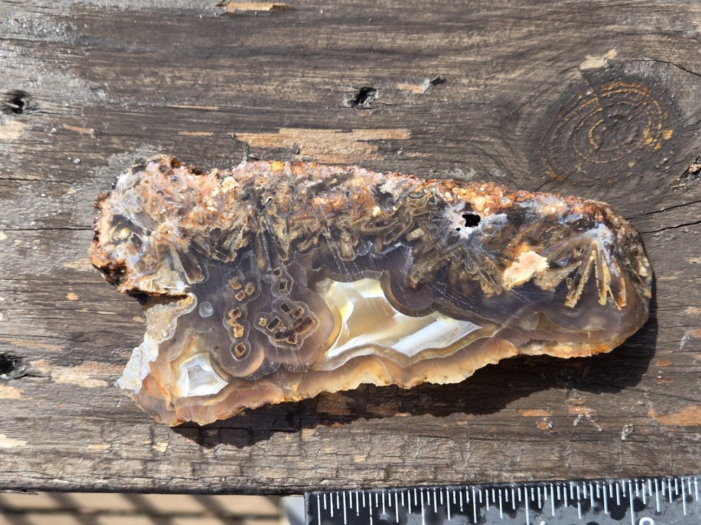 Turkish Agate Slab Slice Lapidary Unique