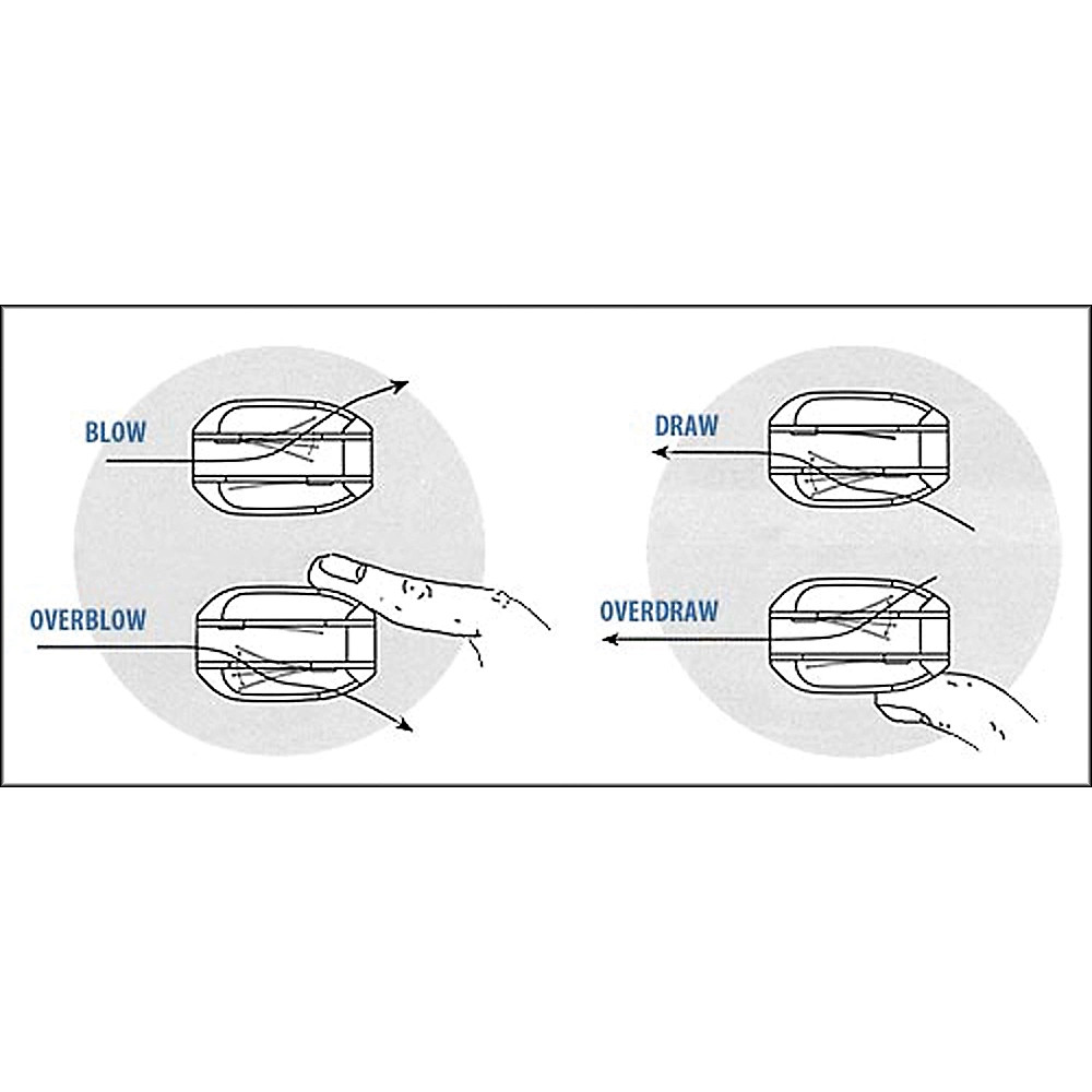 Suzuki OVERDRIVE HARMONICA C