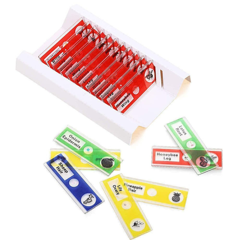 Plastic microscope slide biological specimen with microscope for childrenstudent