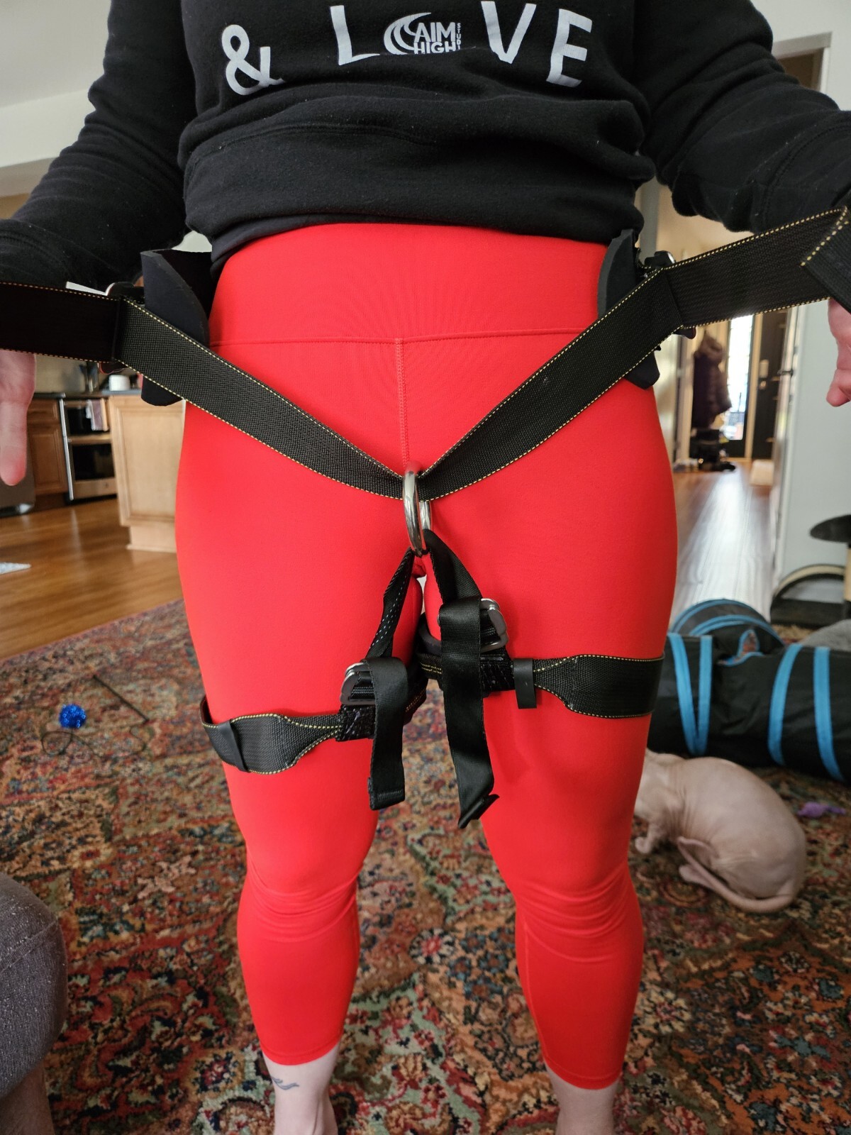 Climbing Sutra Stunt Bungee Harness Serial # 34403 Size Medium