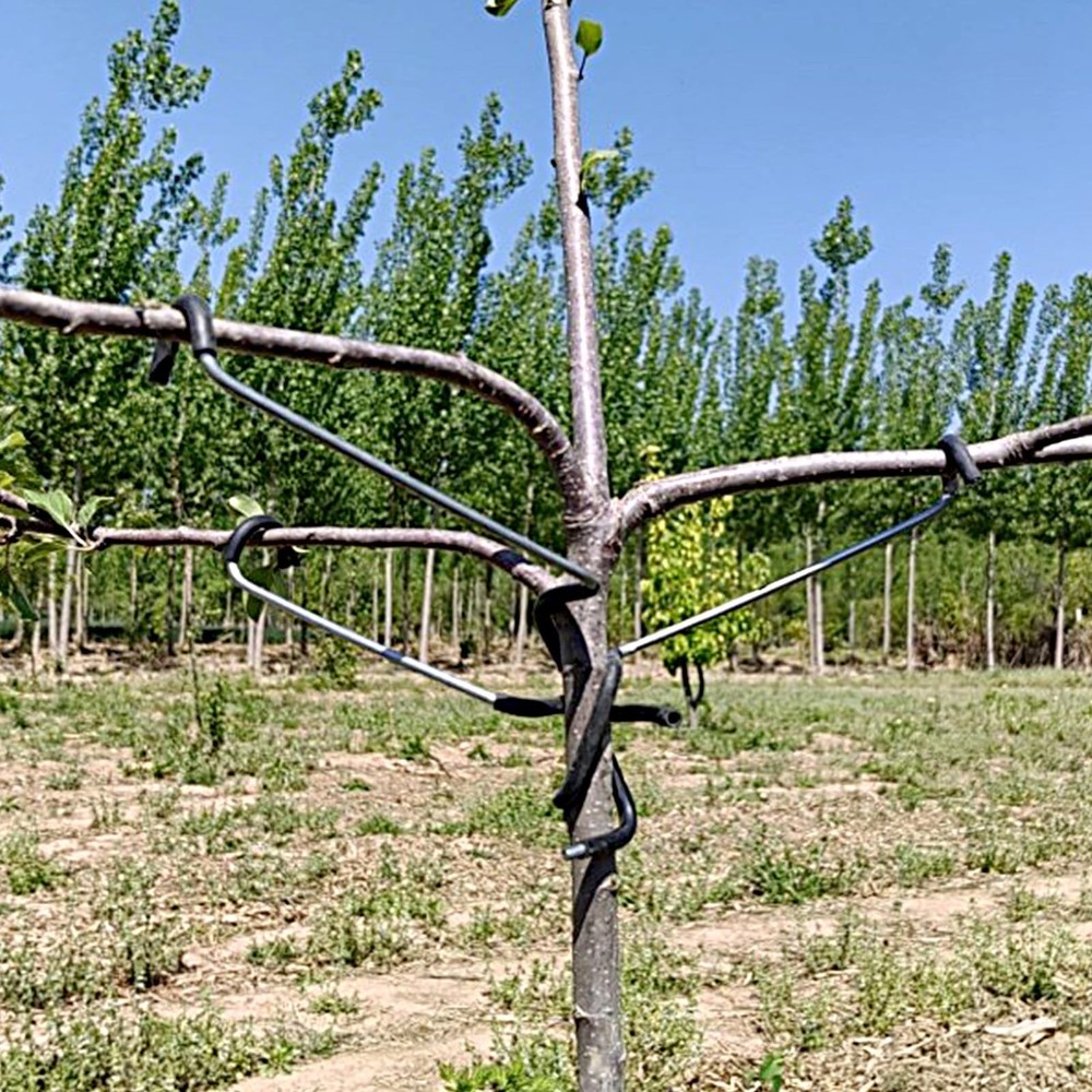 Fruit Tree Branch Limb Spreader 20PCS Limb Spreader Versatile Durable Solutio...