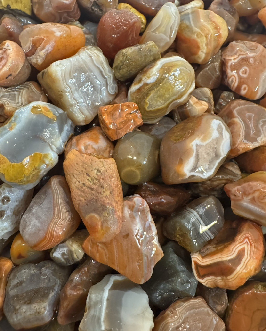 One Pound Lot 🔥 Lake Superior Agates * Free Shipping! Over 100 Unique Gems 1lb.