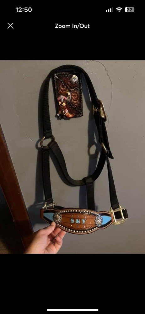 Horse Halter “sky”
