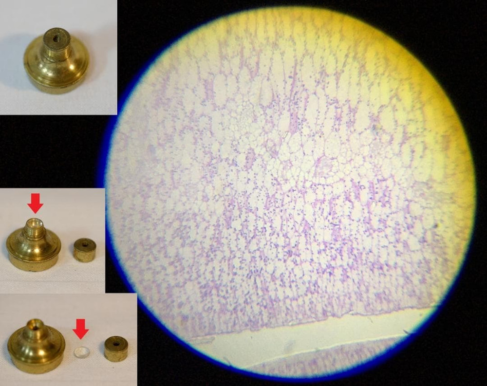 Antique Microscope No.32 John Richardson Cuff-Type Microscope c.1804–1809