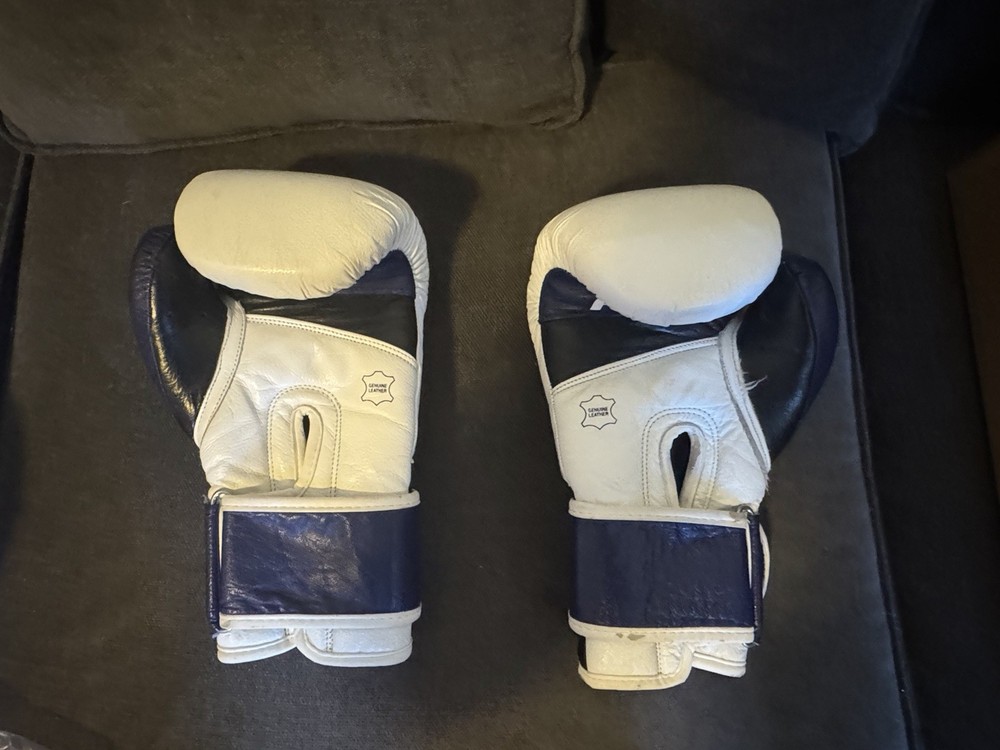 Fighting Force Boxing Gloves White Navy Red 14oz