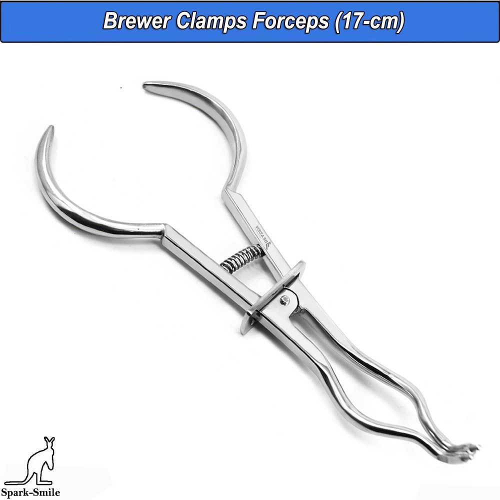 Endodontic Rubber Dam Brewer Restorative Forceps Dental Restorative Instruments