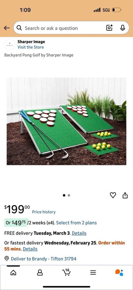 Backyard Golf Beer Pong