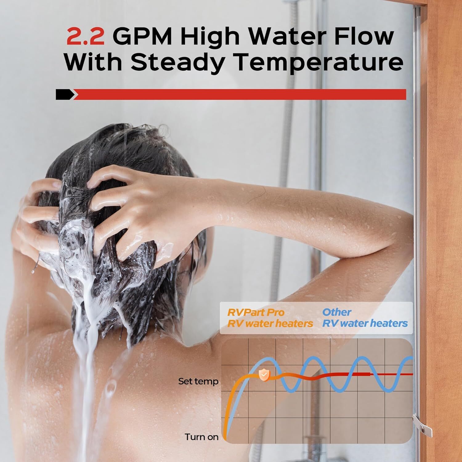 RVPart Pro RV Tankless Water Heater Propane with 15 x 15 in Black Door 12V USED