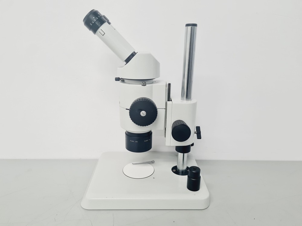 Leica M8 WILD Stereo Zoom Microscope Lab