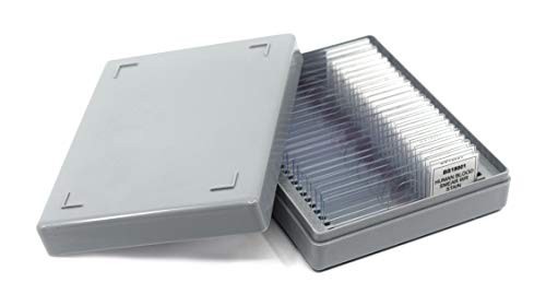 25 Pack Crossed Colored Threads Microscope Slides - Wholemount 75x25mm Classroom