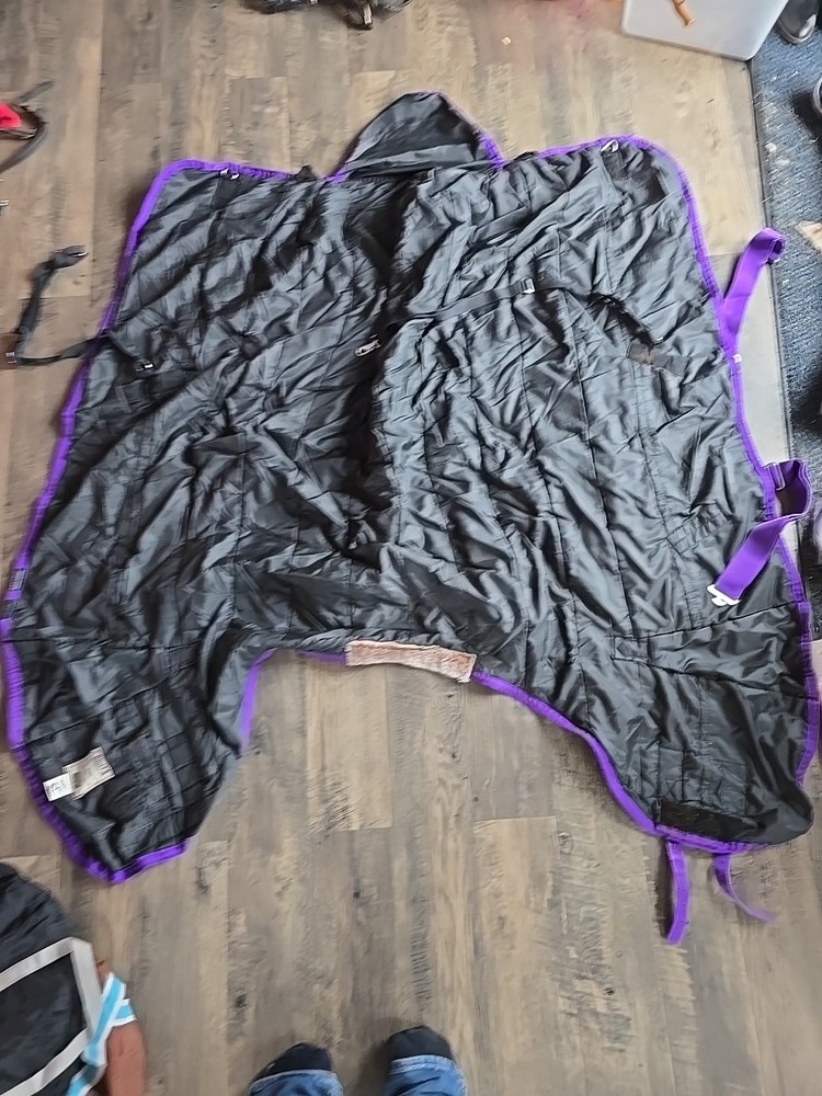 Horse Blanket 63