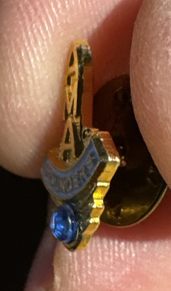 Vintage AMA Founders Pin