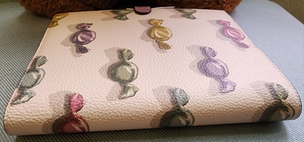 Coach Notebook With Candy Print NWT