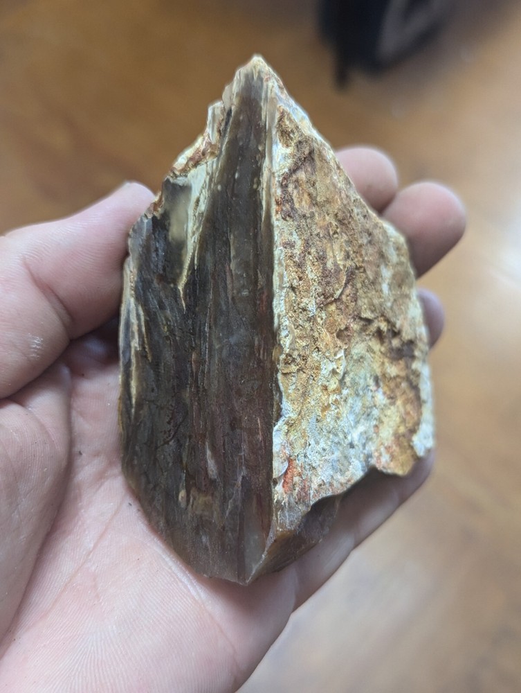 Large Petrified Wood Limb Crystal Cluster