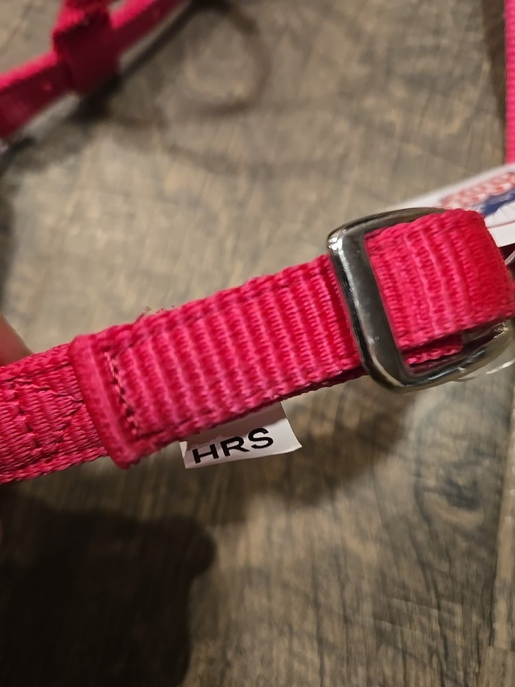 western headstall