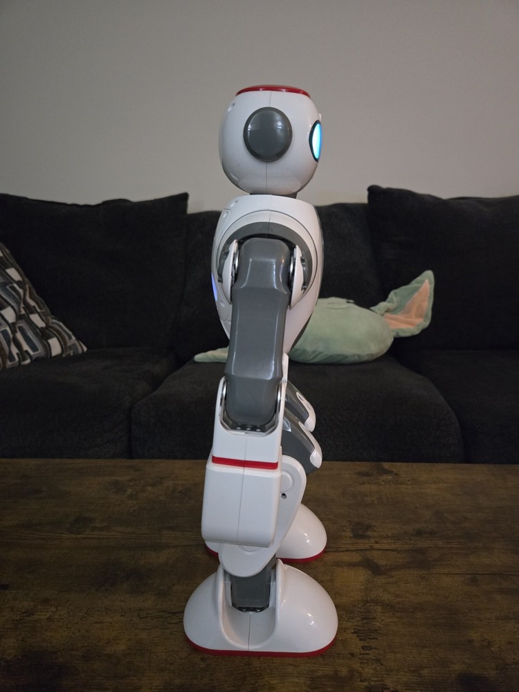 RARE WLtoys Dobi Humanoid Robot