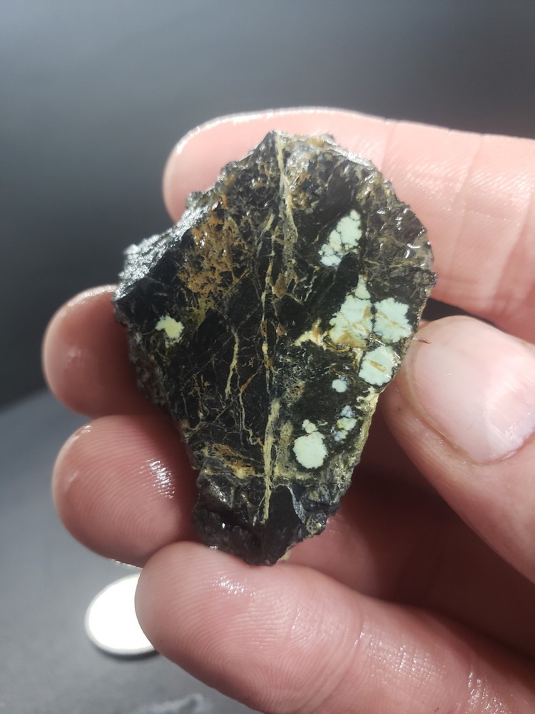 Saguaro Variscite Slab