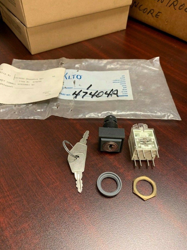 47404A - Switch Key (Small Visions)